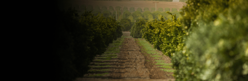 Farming